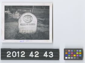 Image representing Print, Photographic.