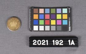 Image representing Coin, Replica Gold.