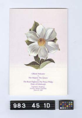 Image representing Programme, Souvenir.