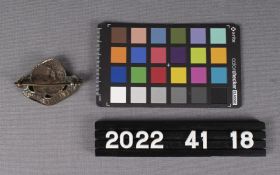 Image representing Badge, Cap.