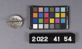 Image representing Badge, Cap.