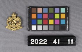 Image representing Badge, Cap.