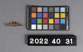Image representing Pin, Military.