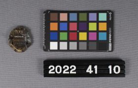 Image representing Badge, Cap.