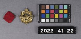 Image representing Badge, Cap.