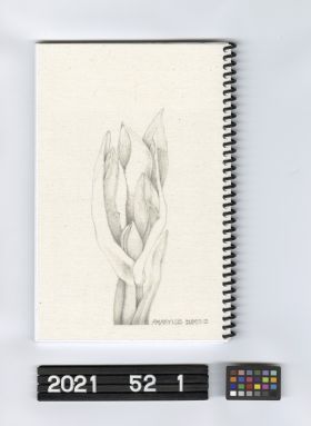 Image representing Journal.
