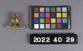 Image representing Badge, Cap.