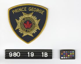 Image representing Badge, Fire Insignia.