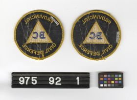 Image representing Patch, Insignia.