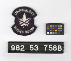 Image representing Patch, Insignia.