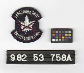 Image representing Patch, Insignia.