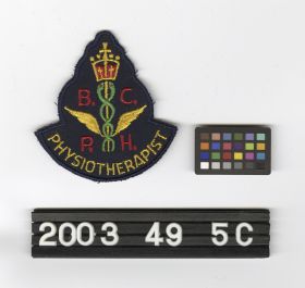 Image representing Patch, Insignia.