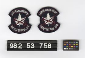 Image representing Patch, Insignia.