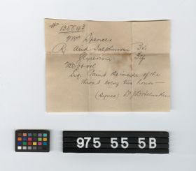 Image representing prescription.