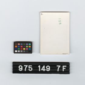 Image representing photographic print.