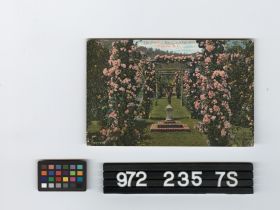 Image representing Postcard.