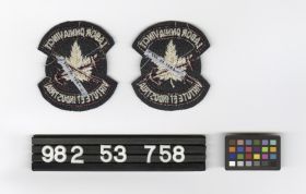 Image representing Patch, Insignia.