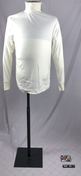 Image representing Turtleneck.