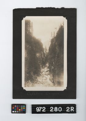 Image representing Print, Photographic.