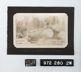 Image representing Print, Photographic.