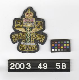 Image representing Patch, Insignia.