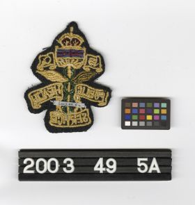Image representing Patch, Insignia.